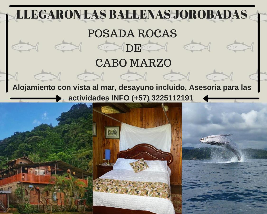 Posada Turística Rocas De Cabo Marzo Bahia Solano Exterior foto