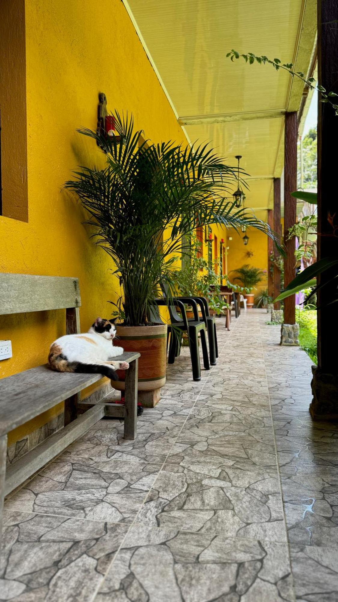 Posada Turística Rocas De Cabo Marzo Bahia Solano Exterior foto